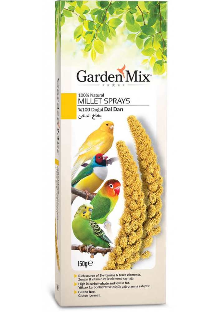 Gardenmix Platin Sarı Dal Darı 150 gr